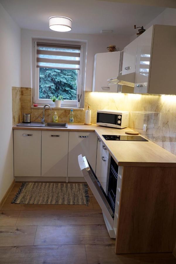 Apartament Naleczow Dom Pod Orzechami מראה חיצוני תמונה