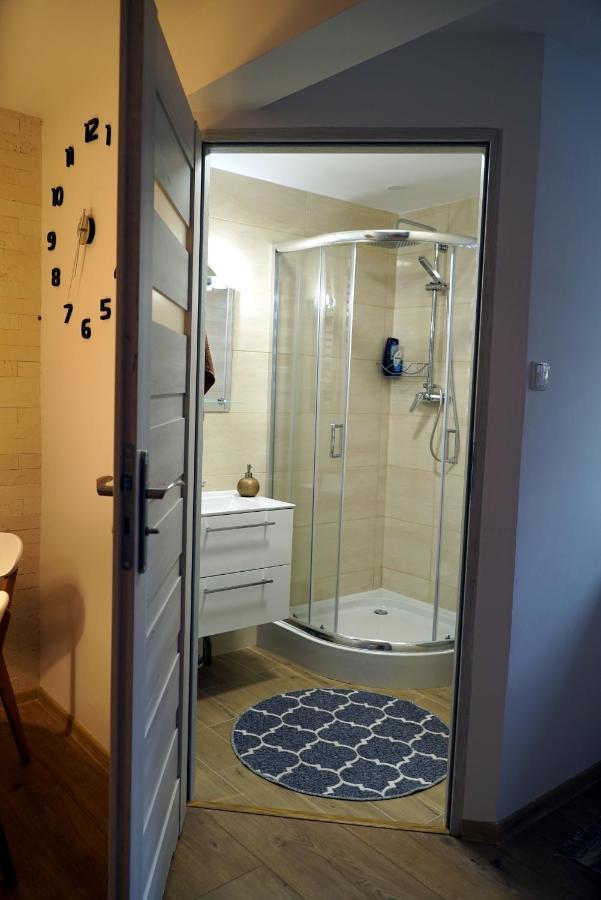 Apartament Naleczow Dom Pod Orzechami מראה חיצוני תמונה